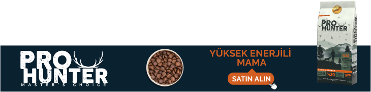 ProHunter